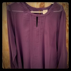 CAbi long sleeved blouse